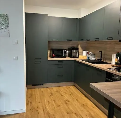 Wunderschoene Am Rhein Naehe Koblenz